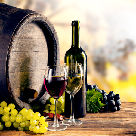 Холодильник винний 400 літрів - з 1 скляними дверима GGM Gastro - 4