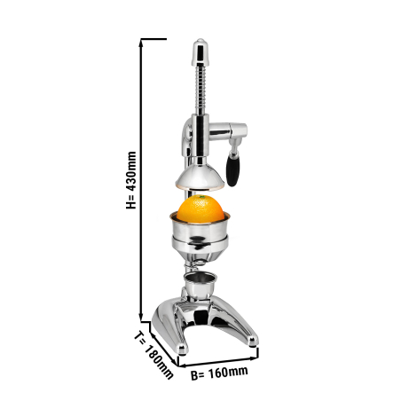Ручна соковижималка GGM Gastro - 1