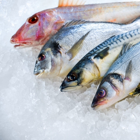 Холодильна шафа / 1400- літрів / кількість дверей- 2 / GGM Gastro - 7