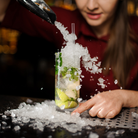 Дробилка для льда (производительность: 3 кг / мин) GGM Gastro - 4